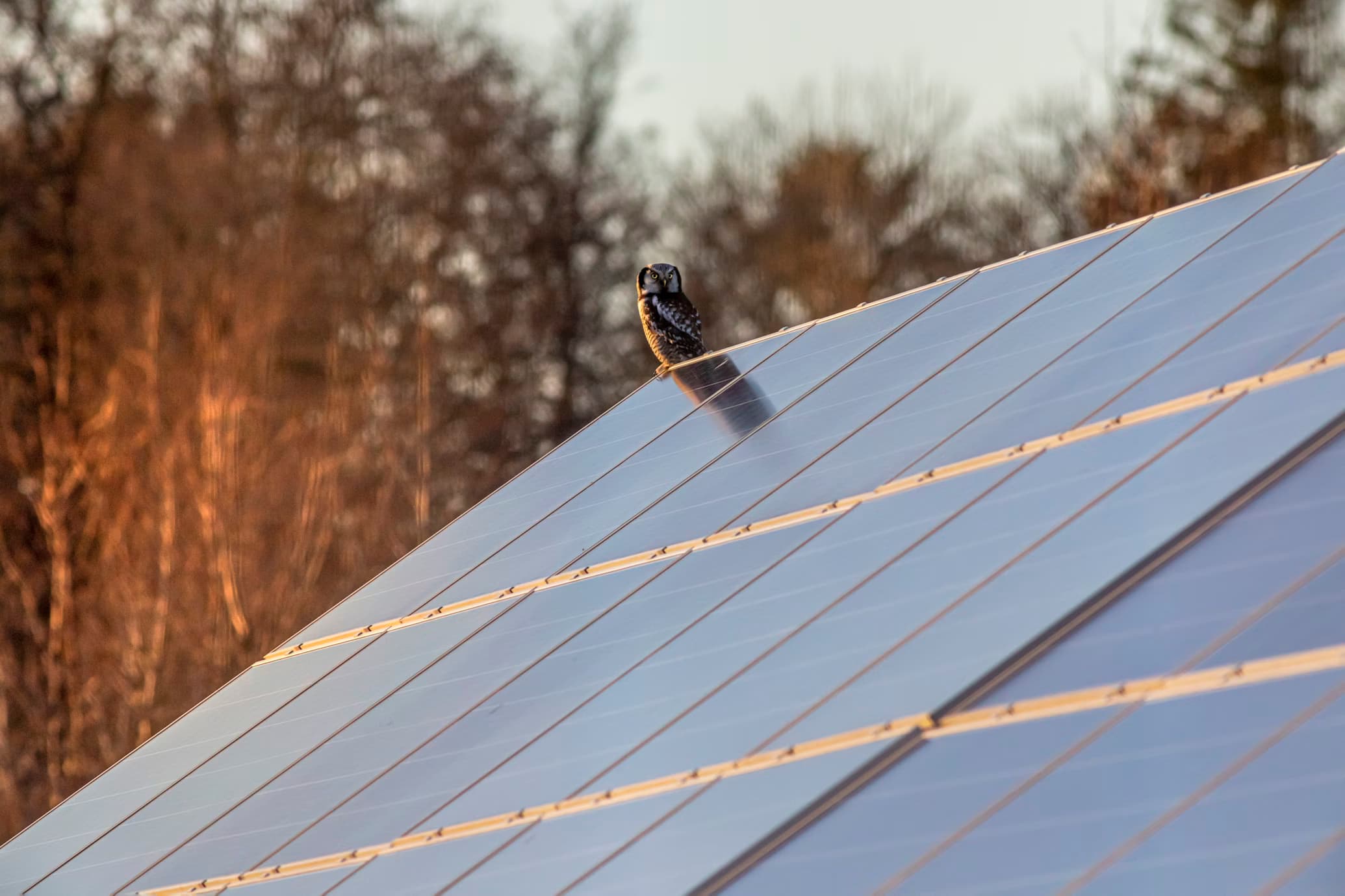 Solarni paneli u Sarajevu - lokalne specifičnosti
